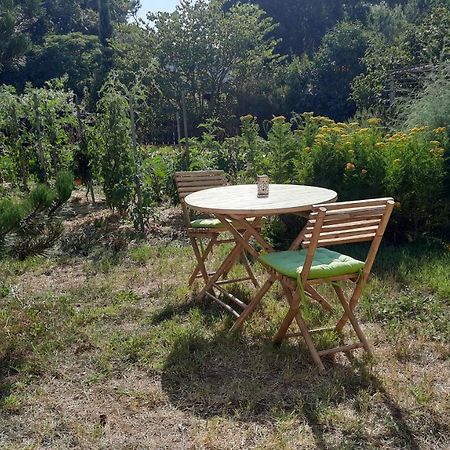 Le Grand Souffle Hotel Dolus de Oleron Bagian luar foto
